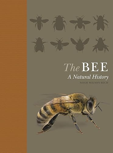 Bee: A Natural History